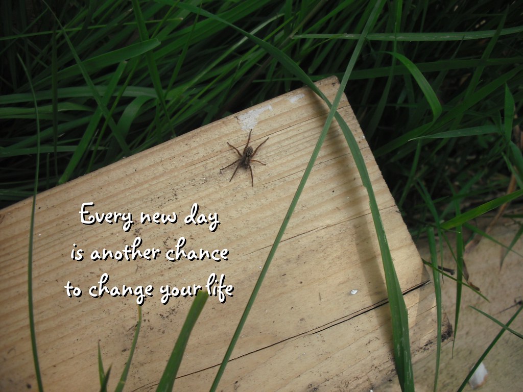 Simple Micro Habits to Change Your Life