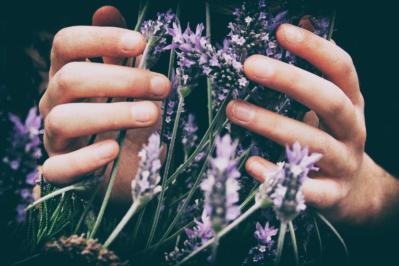 immersing yourself in nature