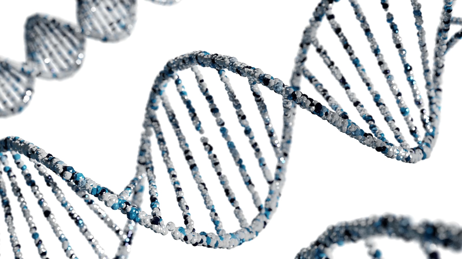 human Bio hacking